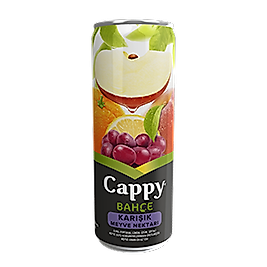 Cappy (330cl.)
